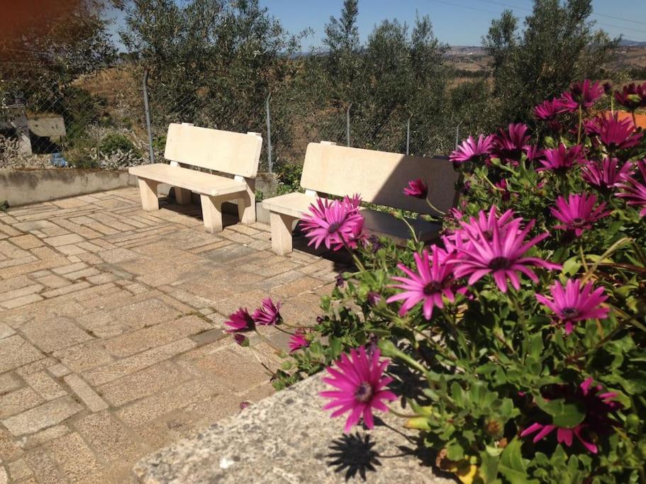 Casa Dos Copins Villa Lamego Dış mekan fotoğraf